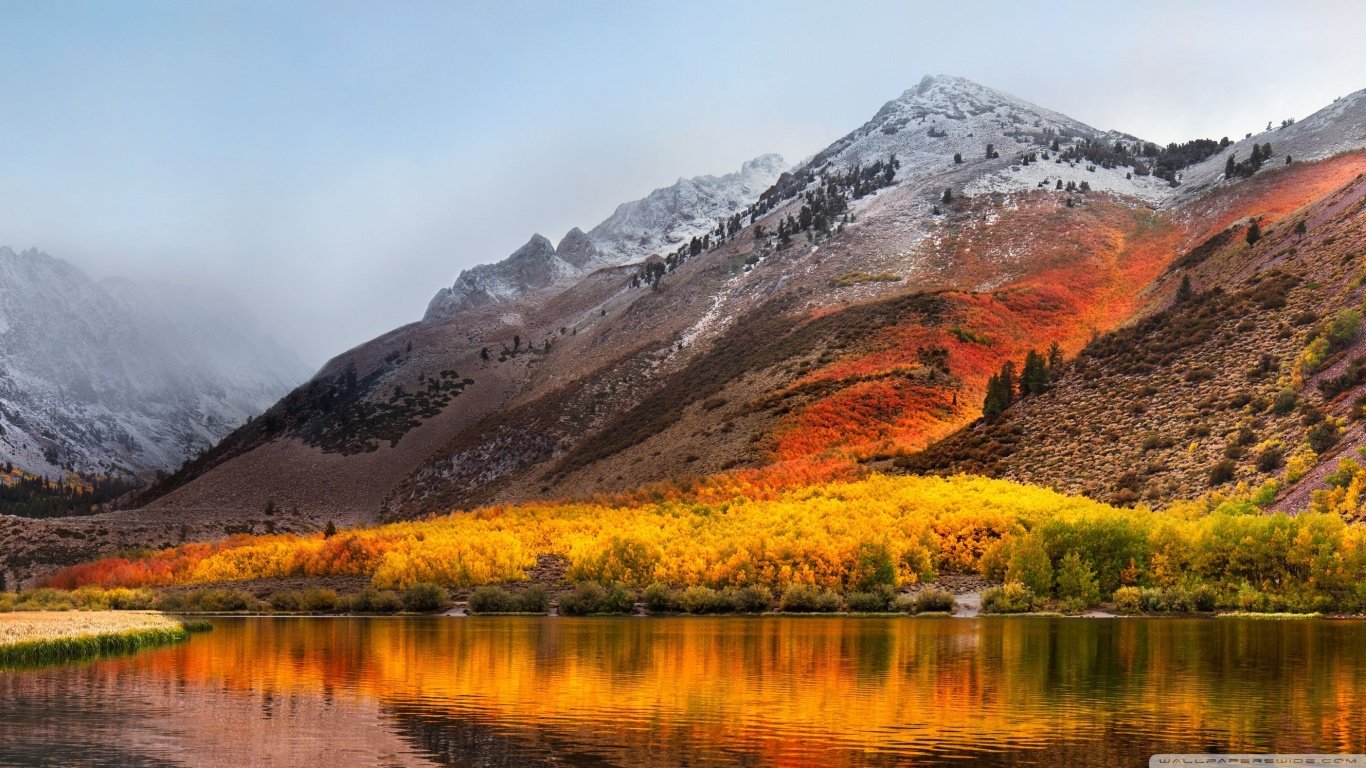 Image do post Testando denovo