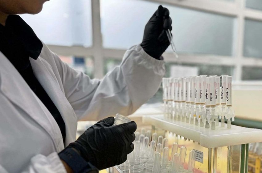 Image do post Estudo com monitoramento de águas residuais revela mudanças no consumo de drogas no Chile