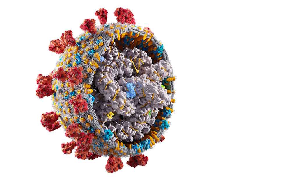 Image do post Pesquisadores nos Estados Unidos identificam nova estrutura de RNA associada à replicação do HIV