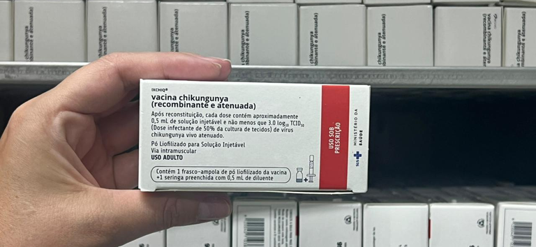 Image do post Brasil amplia resposta contra chikungunya com vacinação inédita e reforço no controle do vetor