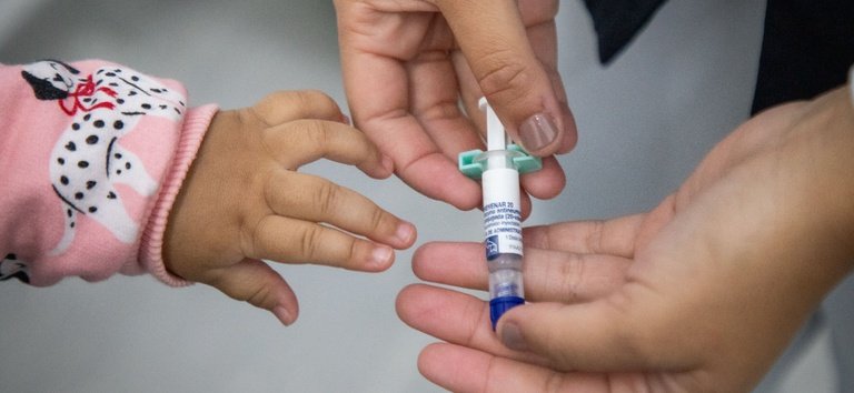 Image do post Vacina Pneumo 20 amplia proteção contra doenças pneumocócicas e reforça prevenção infantil no Brasil
