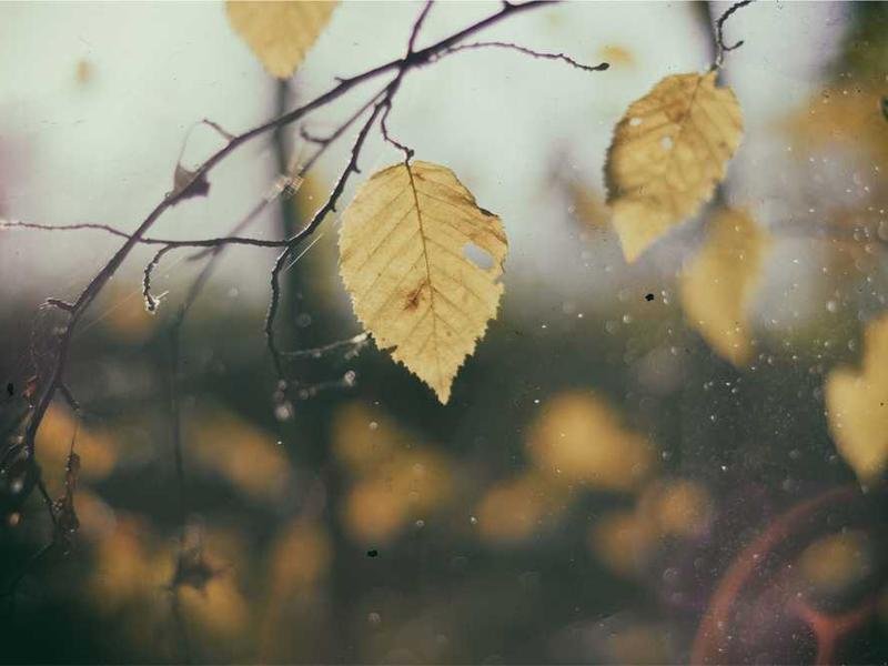 Placeat omnis magni enim quasi doloribus.