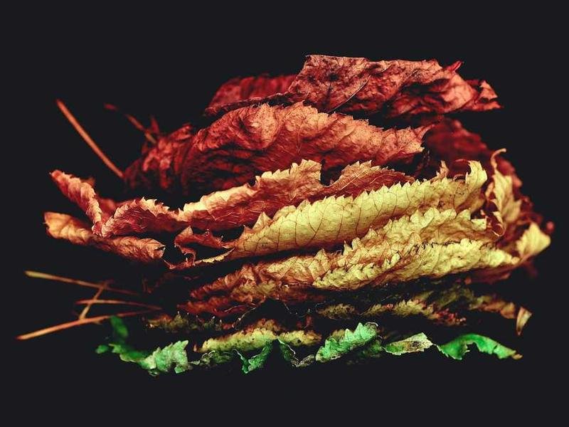 Dolores et dicta perferendis adipisci et repellat exercitationem.