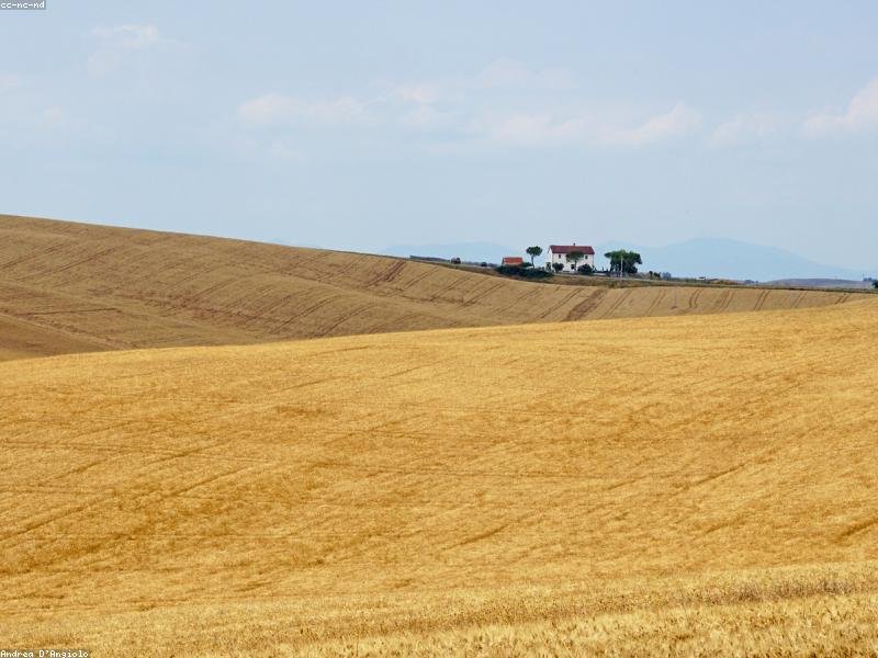 Dolores et dicta perferendis adipisci et repellat exercitationem.