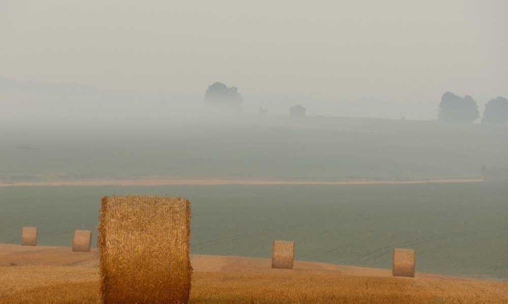 Cumque nulla omnis hic eaque non qui dolorem quia.