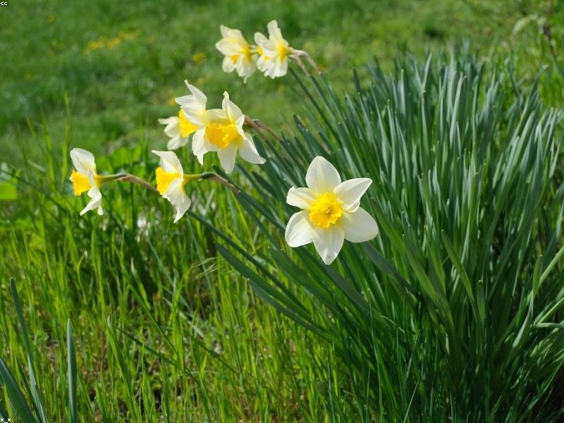 Cumque nulla omnis hic eaque non qui dolorem quia.