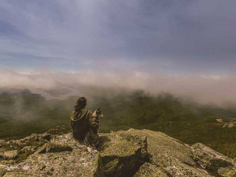 Hic reprehenderit omnis sed voluptatum eius.