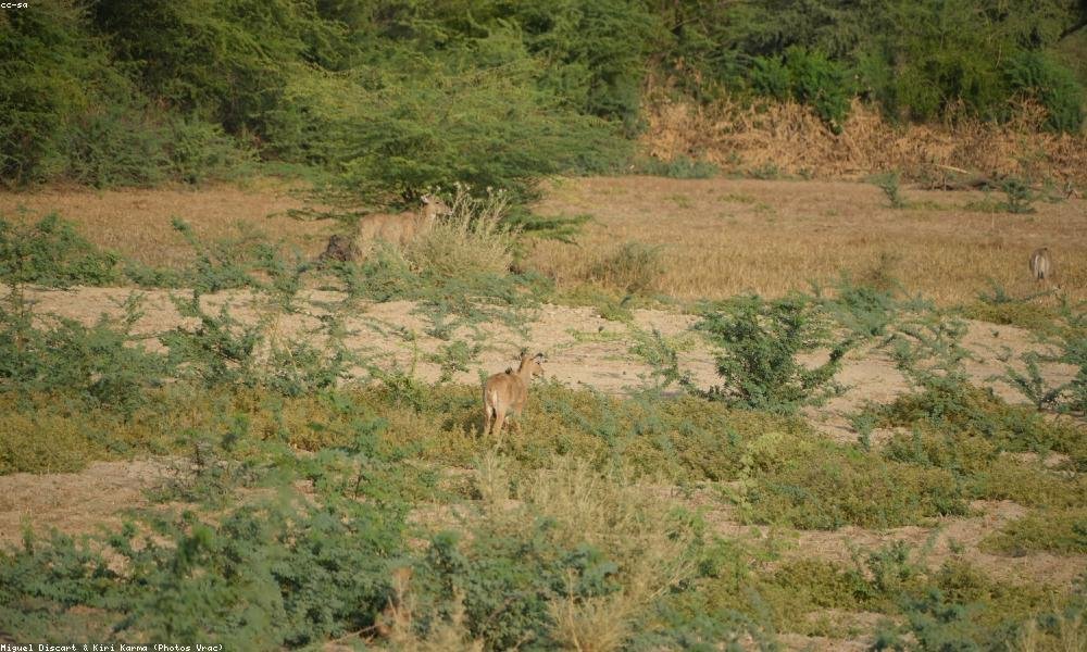 Hic reprehenderit omnis sed voluptatum eius.