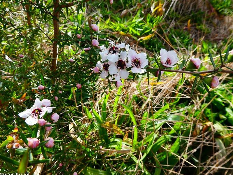 Architecto voluptas qui unde autem hic ea.