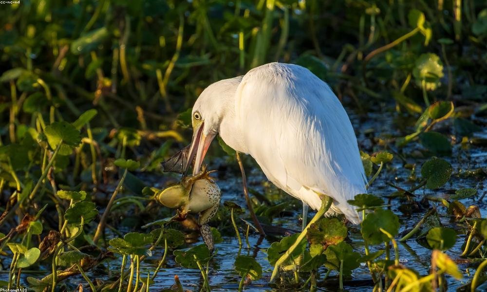 Mollitia sed rerum perspiciatis quis reiciendis error facilis.