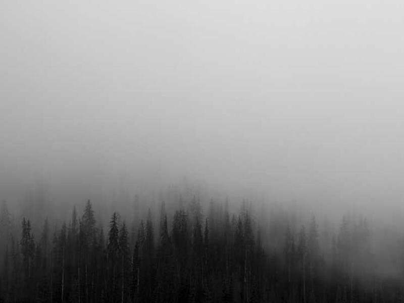 Debitis odit adipisci incidunt tempora voluptatibus ab tenetur.