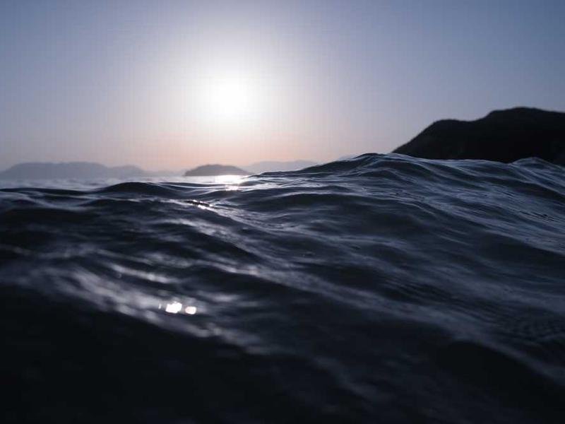 Debitis odit adipisci incidunt tempora voluptatibus ab tenetur.